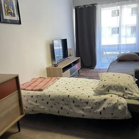 Appartement Grand De 28 M2 Plein Centre De