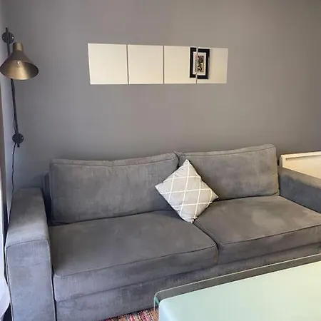 Grand De 28 M2 Plein Centre De Appartement